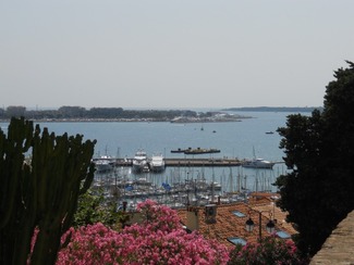 FESTIVAL DE CANNES (FICHE P&Eacute;DAGOGIQUE) | POURQUOI PAS... EN FRAN&Ccedil;AIS ? | Scoop.it