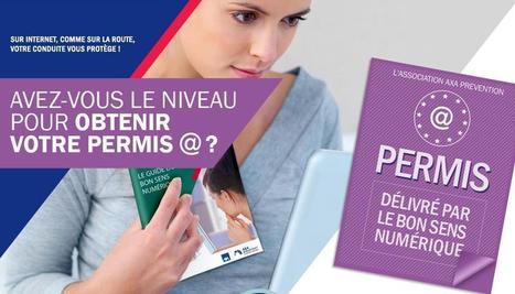 NetPublic &raquo; Permis de bon sens num&eacute;rique et guide du bon sens num&eacute;rique 2012 | 21st Century Learning and Teaching | Scoop.it