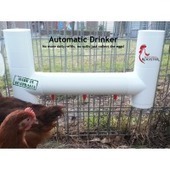 Gravity Feeder For Chickens Watchfulrooster
