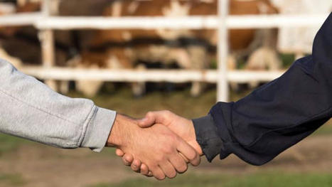 États des lieux de la contractualisation obligatoire en viande bovine | Actualité Bétail | Scoop.it