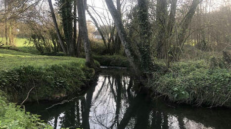 Sécheresse : en Sarthe, l’usage de l’eau restreint dans plusieurs communes | Regards croisés sur la transition écologique | Scoop.it