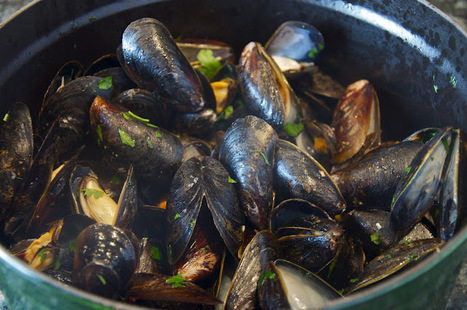 Cheap and Tasty: Sautè di cozze (Steamed Mussels) Angelina Style | La Cucina Italiana - De Italiaanse Keuken - The Italian Kitchen | Scoop.it