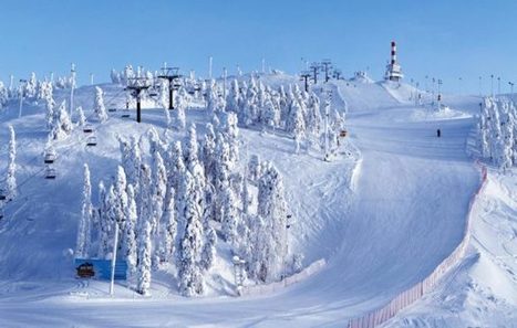 Aikuinen, rohkeasti rinteeseen! Tärkein vinkki aloittelijalle on tämä: Ohjattu opettelu ei ole häpeä vaan viisautta | 1Uutiset - Lukemisen tähden | Scoop.it