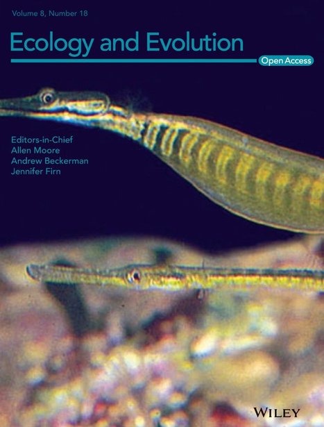 The impact of artificial light at night on nocturnal insects: A review and synthesis - Owens - Ecology and Evolution | Biodiversité | Scoop.it