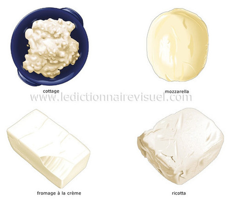 La classification des fromages | Dictionnaire Visuel | Remue-méninges FLE | Scoop.it