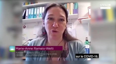 Covid-19, le point avec Marie-Anne Rameix-Welti, virologue | Life Sciences Université Paris-Saclay | Scoop.it