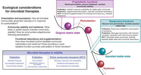 Applying microbial ecology frameworks to microbial therapies for wildlife | mSys | RMH | Scoop.it