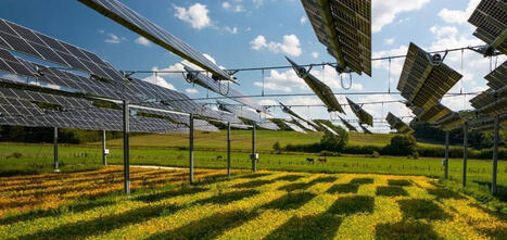 France : le gouvernement lance un observatoire pour encadrer 1 600 projets agrivoltaïques  | rev3 - la 3ème révolution industrielle en Hauts-de-France | Scoop.it