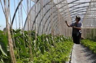 « GartenCoop » : un potager coopératif qui nourrira bientôt 1000 personnes ! | Economie Responsable et Consommation Collaborative | Scoop.it