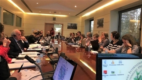Ultimi aggiornamenti Coi in materia di analisi organolettica, armonizzazione di panel sensoriali e classificazione degli oli vergini  | OLIVE NEWS | Scoop.it