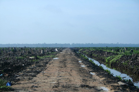 EU Ministers Block EU Environment Proposal To Limit GMO Biofuels:  Food or Fuel? | BIODIVERSITY IS LIFE  – | Scoop.it