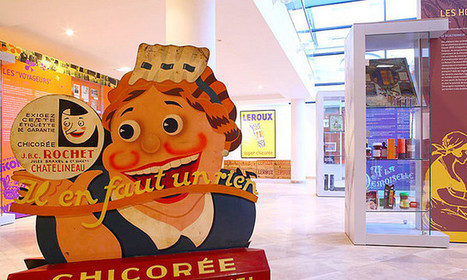 Visite du Mus&eacute;e de la Chicor&eacute;e avec d&eacute;gustation pour 2, 4 ou 6 personnes d&egrave;s 6 &euro; | Chicor&eacute;e | Scoop.it