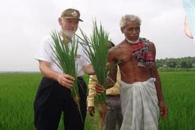 New rice cultivation methodology can help crops tolerate drought: Norman Uphoff | SRI Global News: Nov. 2024 - Jan. 2025  *SRI-Rice  --     System of Rice Intensification | Scoop.it