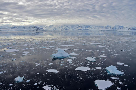 Scientists Wear Shorts in Antarctica During 'Unbelievable' Heat Wave - Newsweek.com | Agents of Behemoth | Scoop.it