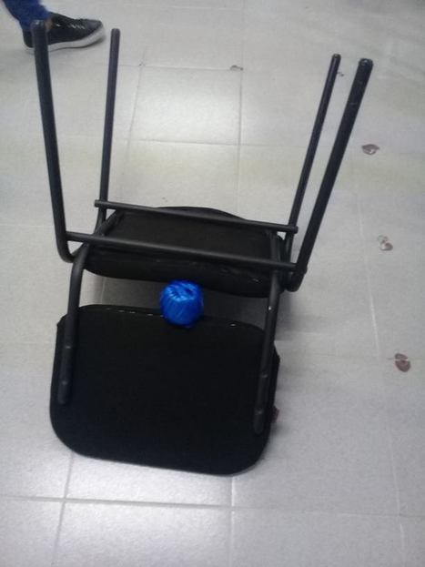 Reporte escrito de telaraña casera | Asómate | Bichos en Clase | Scoop.it