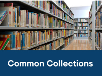 PASCAL Home - PASCAL Home - PASCAL LibGuides at PASCAL | Useful Tools, Information, & Resources For Wessels Library | Scoop.it