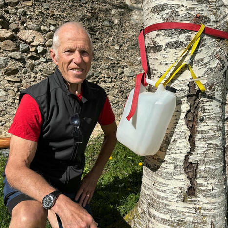 Gunnar i Ås dricker björksav – för sin pollenallergi | 1Uutiset - Lukemisen tähden | Scoop.it