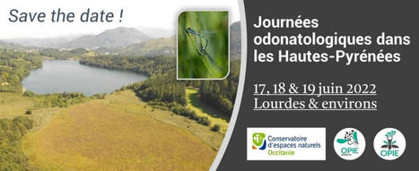 Les Journées odonatologiques dans les Hautes-Pyrénées en 2022 - 17, 18 et 19 juin 2022 - Lourdes & environs | Variétés entomologiques | Scoop.it