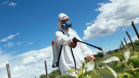 Polluants chimiques : les chercheurs s'inquiètent de leur utilisation massive | Les Colocs du jardin | Scoop.it