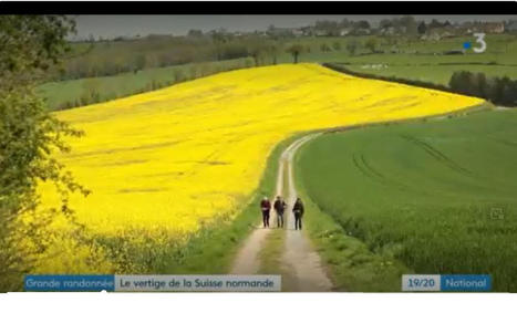 Tour de la Suisse normande : Un GR® de Pays qui fait un tabac... - Fédération Française de la Randonnée Pédestre | Tourisme de randonnées                                                                                                                                                                                 & Sports de nature pour les pros | Scoop.it