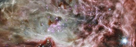 Surprising Discovery in the Orion Nebula --NASA's Chandra X-Ray Observatory | Ciencia-Física | Scoop.it