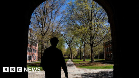 US colleges warn foreign students over Trump immigration crackdown | The Student Voice | Scoop.it