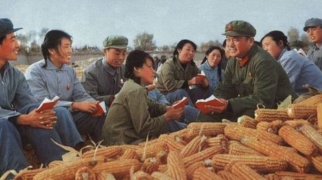 Chine. Quelle politique agricole et alimentaire pour 1,4 milliard d’habitants ? | ASIES | Scoop.it