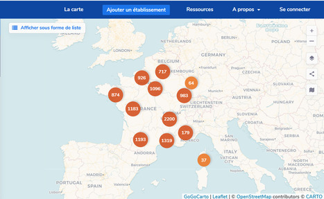 Cartographier les ressources num&eacute;riques en biblioth&egrave;ques | Veille pour les concours des biblioth&egrave;ques | Scoop.it