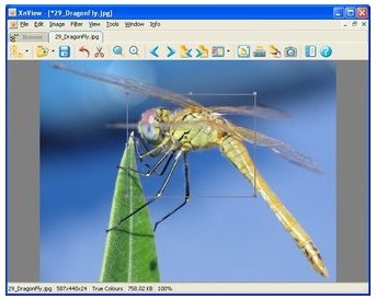 licence gratuite: Logiciel gratuit XnView 2011 - visualisation, conversion ,organisation et edition des images et photos Licence gratuite Windows , Linux , Bsd | Logiciel Gratuit Licence Gratuite | Scoop.it