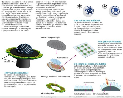 Une caméra qui mime l'œil à facettes des insectes | KILUCRU | Scoop.it