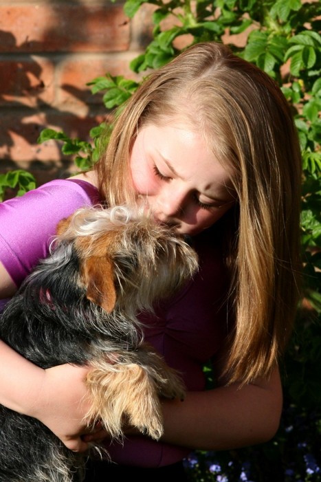 Caring for Ourselves, Caring for Our World: Are you an Animal Empath? | Empathy and Animals | Scoop.it