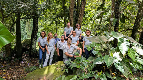 La Guadeloupe se dote d'un conservatoire botanique national - Agence Régionale de Biodiversité des Îles de Guadeloupe | Ecosystèmes Tropicaux | Scoop.it