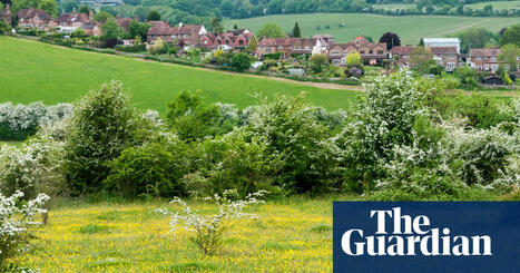 Sadiq Khan to announce plans to build houses on London green belt | London | The Guardian | Energy Transition in Europe | www.energy-cities.eu | Scoop.it