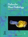 Mol Plant Pathol: The YopJ superfamily in plant-associated bacteria | Plants and Microbes | Scoop.it