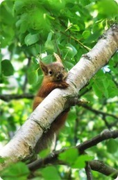 Sanaluokista... | 1Uutiset - Lukemisen t&auml;hden | Scoop.it