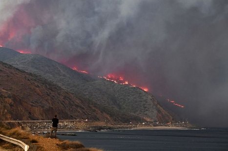 Presidential Wildfire Tweets: Right Message, Wrong Time | Timberland Investment | Scoop.it