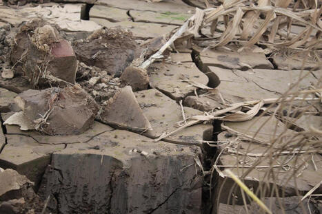 Les pertes des catastrophes climatiques estim&eacute;es &agrave; 85&nbsp;Mds&nbsp;d&rsquo;&euro; par an | Elevage et environnement | Scoop.it