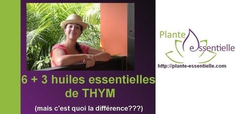 Huile essentielle de Thyms: différences et confusions (chémotype) | La Cabane aux Arômes | Scoop.it