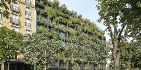 Architecture : le béton se pare de végétal | Veille UrbaLyon : Santé environnementale & bienfaits du végétal | Scoop.it