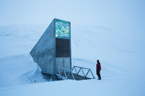 A new politics of climate change could save the world | Peer2Politics | Scoop.it