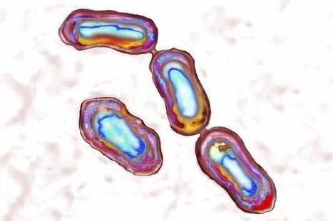 Les sociétés face aux épidémies (3/4) : Quelles traces les épidémies ont-elles laissées dans notre ADN ? | EntomoScience | Scoop.it