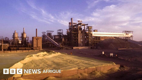 NIGER : Pourquoi le gouvernement veut nationaliser la société d'uranium du pays | AFRIQUES | Scoop.it