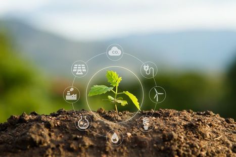 SAP BrandVoice: Are The First Signs Of Sustainability Emerging From The Pandemic? | Sustainability Science | Scoop.it