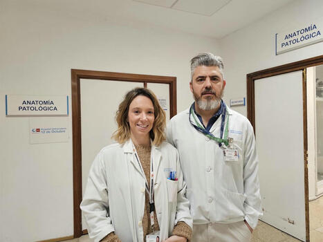 Muestran la relaci&oacute;n de unas c&eacute;lulas del sistema inmune con el Alzheimer y tumores cerebrales a partir de los 57 a&ntilde;os | Alzheimer y m&aacute;s (Bolet&iacute;n n&ordm; 80) | Scoop.it