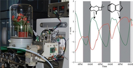 Capturing in Vivo Plant Metabolism by Real-Time Analysis of Low to High Molecular Weight Volatiles | Natural Products Chemistry Breaking News | Scoop.it