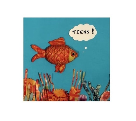 As-tu une mémoire de poisson rouge ? | Café des Sciences | Scoop.it