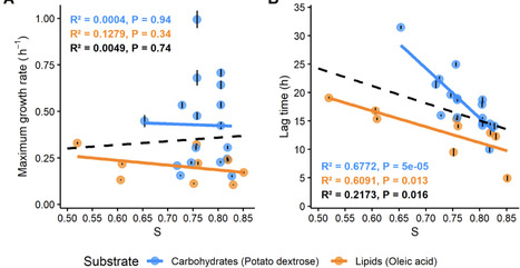 Genomic and physiological signatures of adaptation in pathogenic fungi | Ncm | RMH | Scoop.it