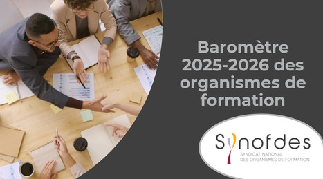 Barom&egrave;tre 2025-2026 des organismes de formation/&nbsp;Synofdes | Formation professionnelle : environnement et dispositifs | Scoop.it