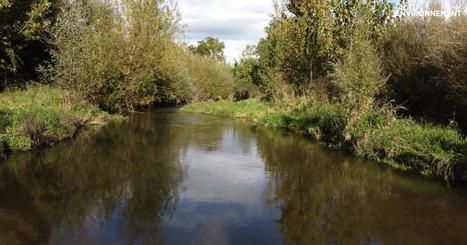 La renaturation des rivières, une solution pour retrouver un bon état des eaux | Biodiversité | Scoop.it