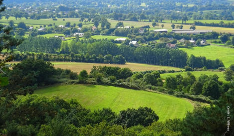 Quel avenir pour la ruralité ? | Village magazine | La SELECTION du Web | CAUE des Vosges - www.caue88.com | Scoop.it